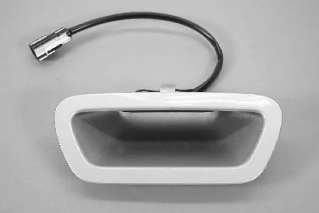 Liftgate Handle - Mopar (1GB12FKGAA)