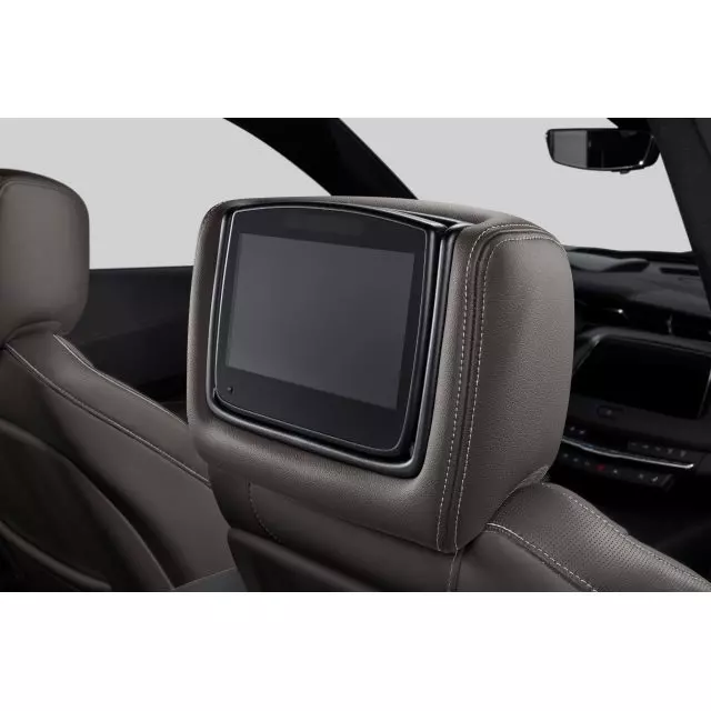 Headrest and Video Screen Assembly - GM (84339930)