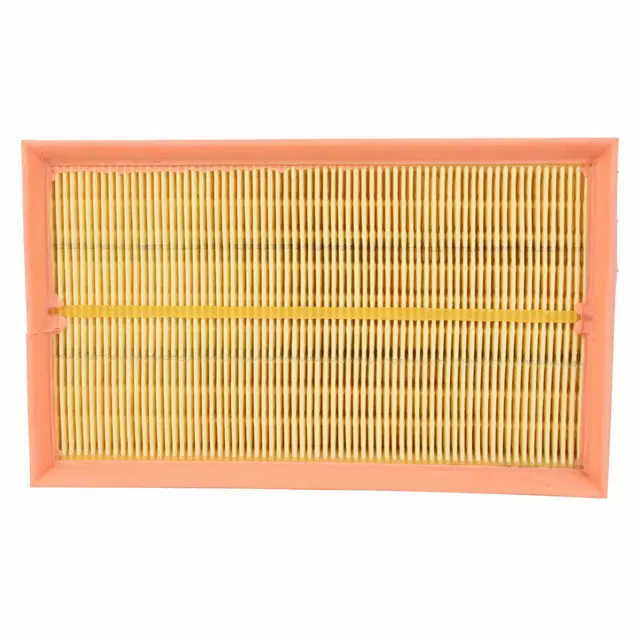 Engine Air Filter - Ford (6E5Z-9601-EA)