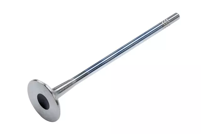 55558728 - Engine: Exhaust Valve for Chevrolet: Aveo, Aveo5 | Pontiac: G3 Image