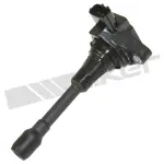 9212176 - : ThunderSpark 921-2176 Ignition Coil for ThunderSpark Image