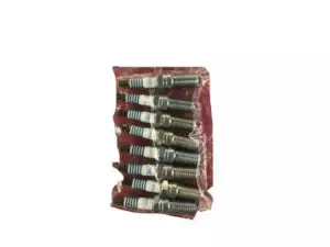 Spark Plug