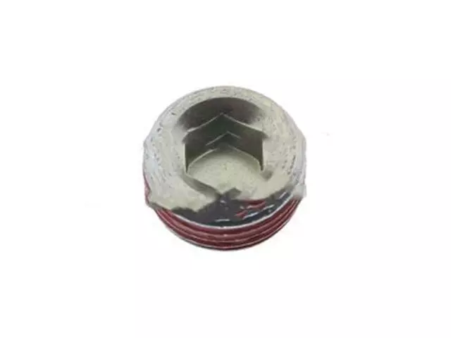 Expansion Plug - Ford (W701516-S901)