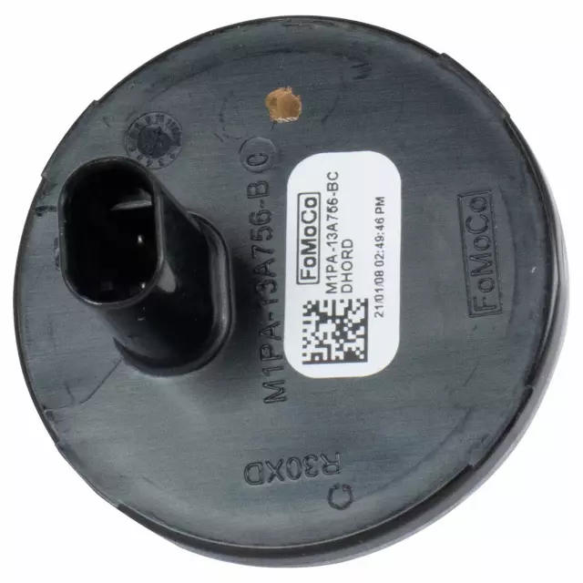 M1PZ13776B - : Cargo Lamp for Ford: Bronco Sport, Expedition | Lincoln: Navigator Image