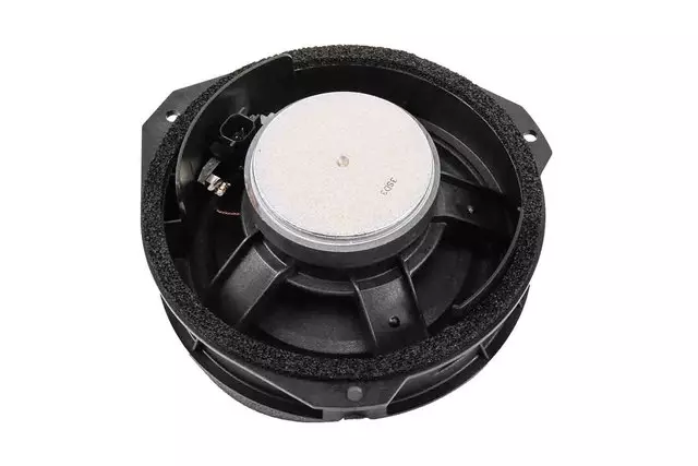 25802875 - : Front Door Lower Radio Speaker for ACDelco Image