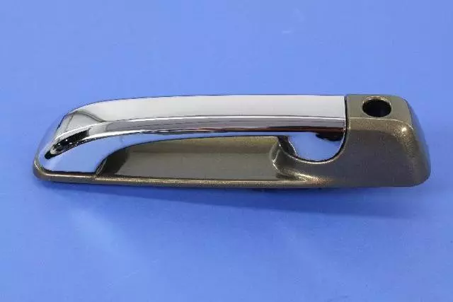 1GH291FAAJ - Doors, Door Mirrors and Related Parts: Exterior Door Handle, Left for Ram: 1500, 2500, 3500 Image