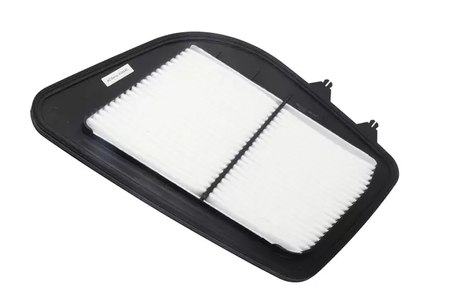 Air Filter - GM (25798271)
