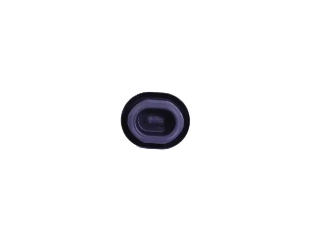 68416754AA - Body Sheet Metal Except Doors: Body Plug for Mopar Image