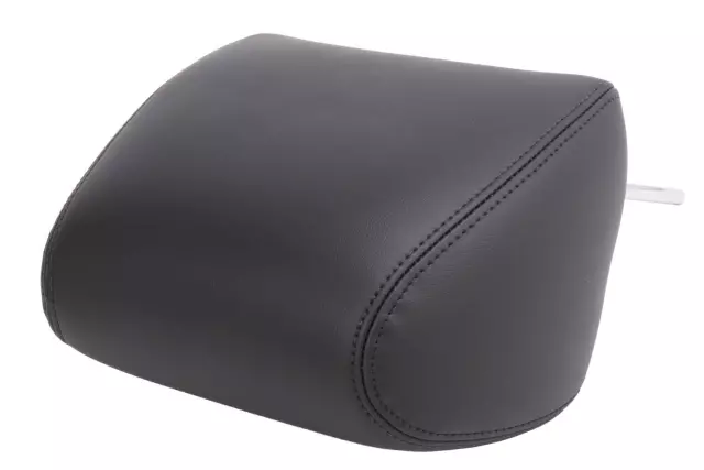 20998449 - Body: Headrest for GM Image