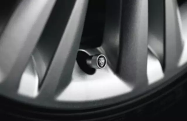 Styled Valve Stem Caps - Black Jack - Jaguar (C2D24287)