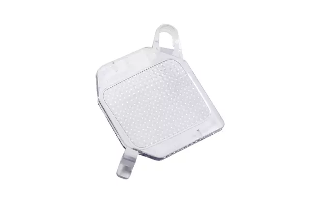 25886565 - Body: Dome Lamp Lens for GM Image