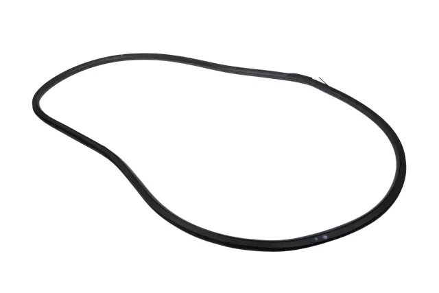 Weather-Strip On Body - GM (42588070)