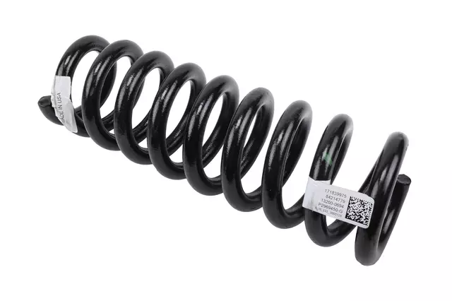 Front Coil Spring - GM (84214779)
