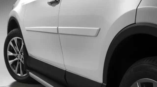 Door Molding - Toyota (PT938-42130-29)