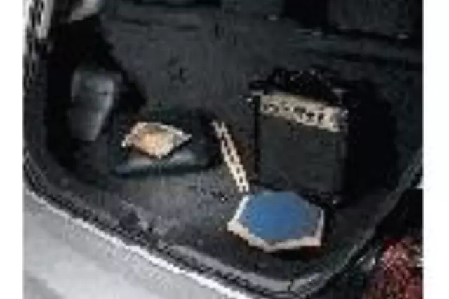 PT2065205202 - Interior: Cargo\\/Trunk Mats for Toyota Image