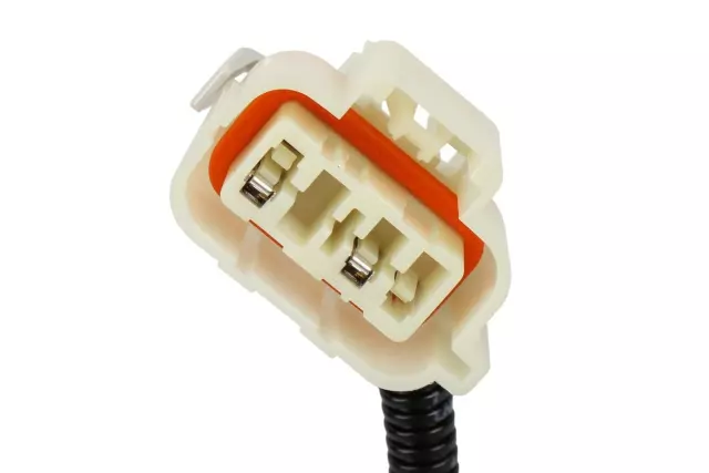 22779876 - : Black Rear License Plate Lamp for Cadillac: Escalade, Escalade ESV, Escalade EXT | Chevrolet: Avalanche 1500, Avalanche 2500, Silverado 1500, Silverado 1500 HD, Silverado 2500, Silverado 2500 HD, Silverado 3500, Silverado 3500 HD, Suburban 1500, Suburban 2500, Tahoe | GMC: Sierra 1500, Sierra 1500 HD, Sierra 2500, Sierra 2500 HD, Sierra 3500, Sierra 3500 HD, Yukon, Yukon XL 1500, Yukon XL 2500 Image