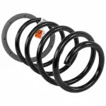 6R3Z5310F - : Coil Spring for Ford: Mustang Image