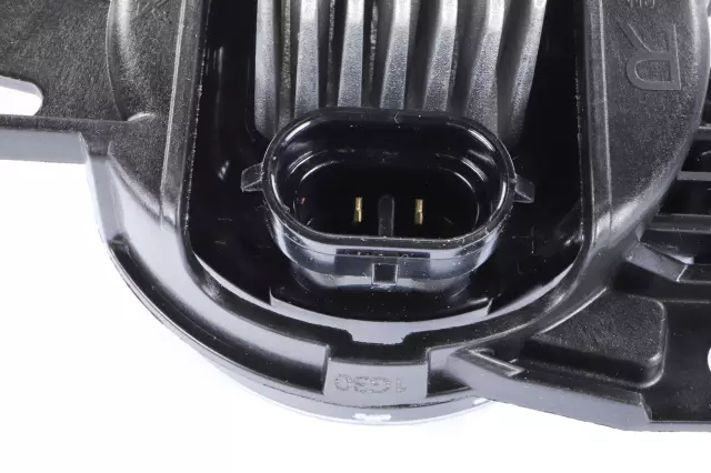 F Lamp Pkg - GM (42732053)