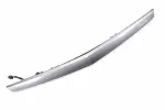 84186454 - : Galvano Silver Rear Closure Center Applique with License Plate Lamp for GM Image