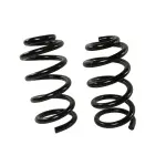 81766 - : Coil Spring Set for Moog Image