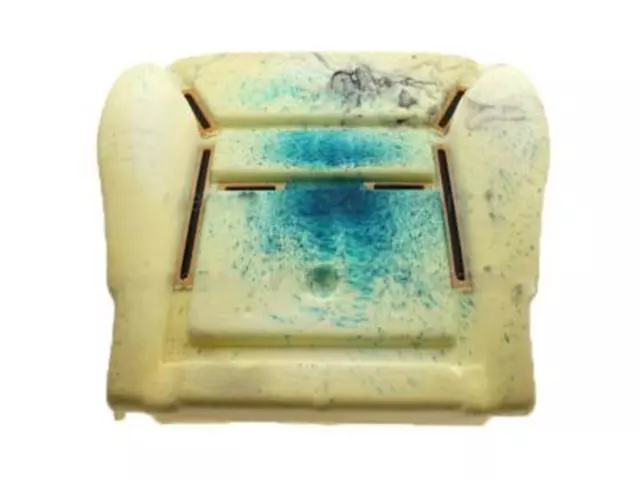 6L8Z78632A23AA - Body: Seat Cushion Pad for Ford Image