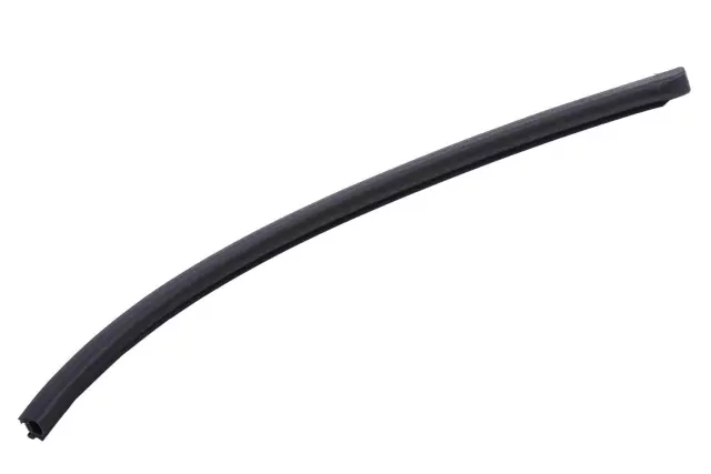 20805903 - Body: Fixed Glass Side Seal for Buick: LaCrosse | Chevrolet: Impala Image