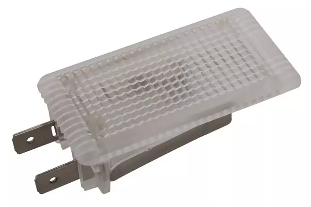 13221556 - Body: Courtesy Lamp for Buick: Regal Image