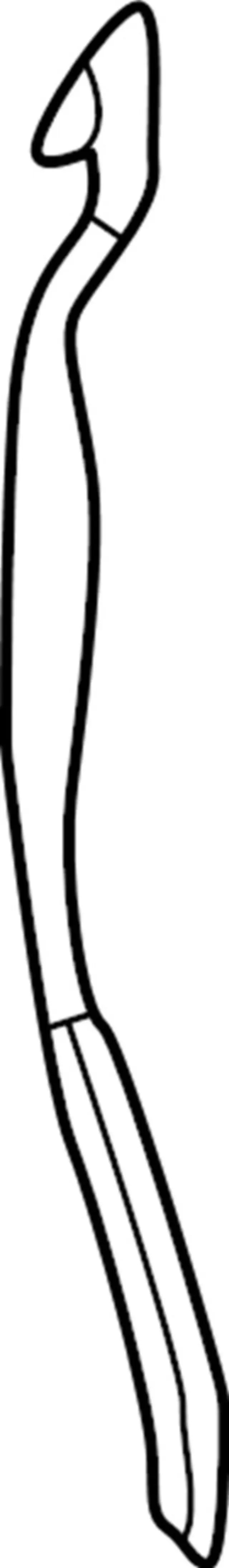 631335NA0A - Body: Rear Cover for INFINITI: QX50, QX55 Image