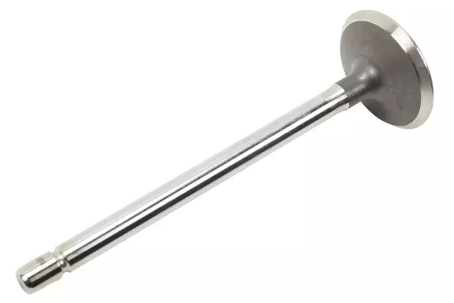 12575354 - : Exhaust Valve for GM Image