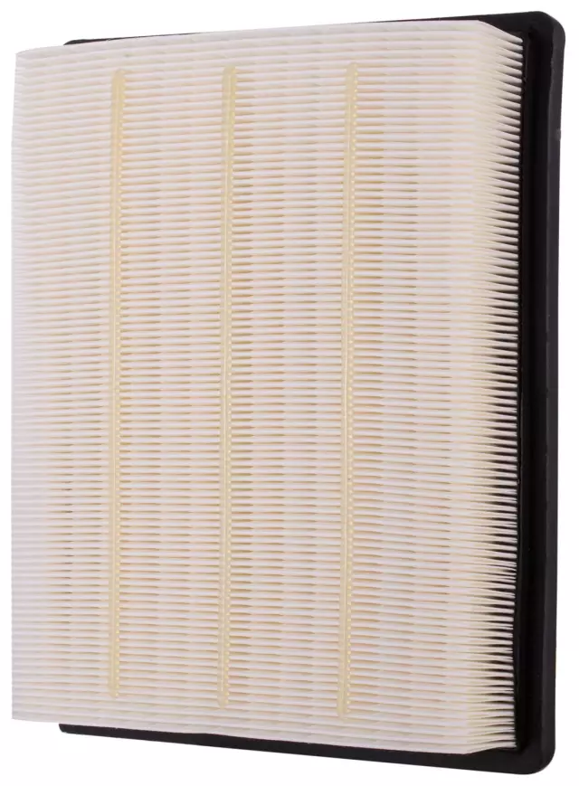 PA8171 - : Premium Guard Engine Air Filter for Premium Guard Image