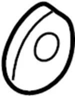 4058988G00 - : Axle Assembly Washer for Infiniti Image