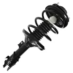 11191 - Suspension: Unity Automotive Suspension Strut and Coil Spring Assembly for Unity Automotive Image