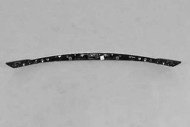 License Lamp Applique - Mopar (68082982AG)