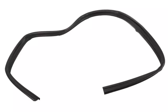 15113129 - Body: Door Weather-strip for GM Image