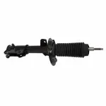 AST900 - : Shock Absorber Assembly for Ford: Mustang Image