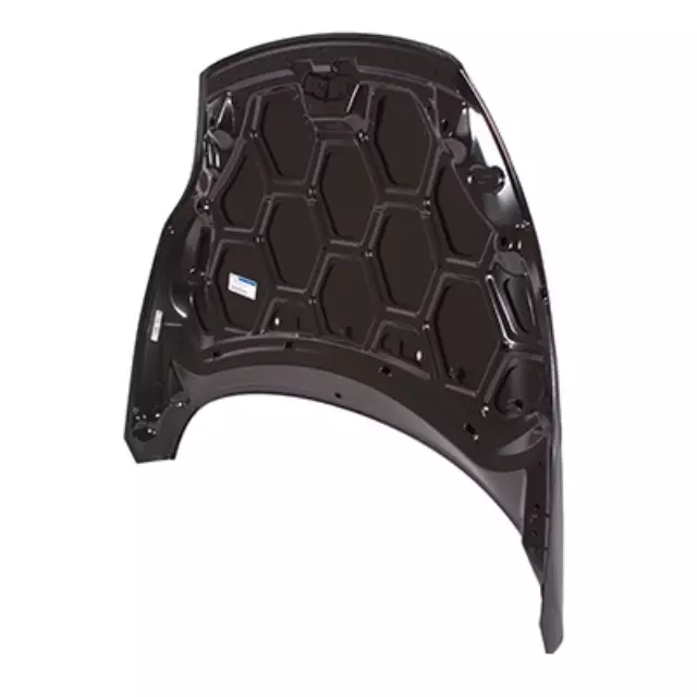 Hood - Ford (AE8Z-16612-A)