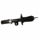 ASH24594 - Suspension: Suspension Shock Absorber for Motorcraft Image