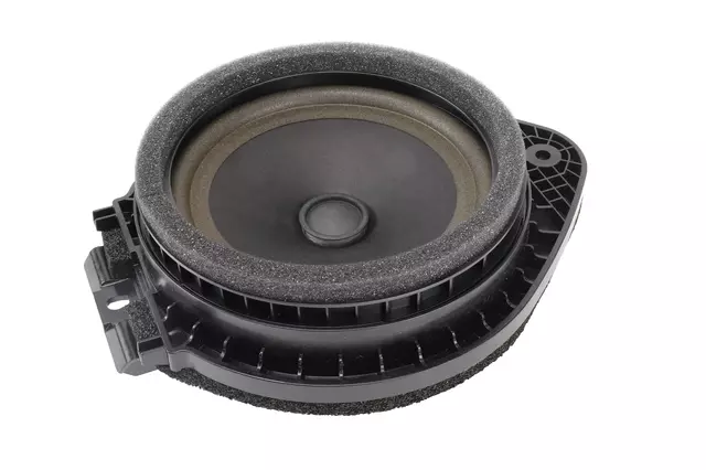 Rear Side Door Speaker - GM (84853410)