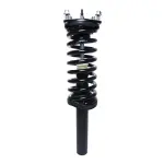 815057 - : PRT 815057 Suspension Strut and Coil Spring Assembly for PRT PERFORMANCE RIDE Image