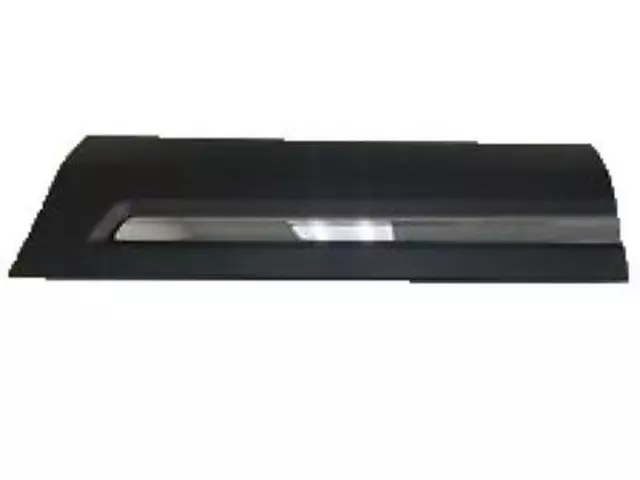 Door Molding - Ford (HB5Z-7820879-DA)