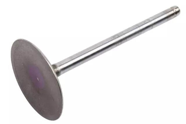12617533 - : Intake Valve for GM Image