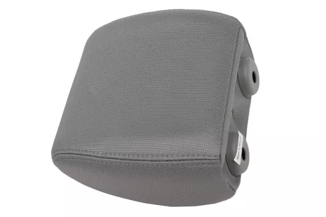 20924497 - Body: Headrest for GM Image