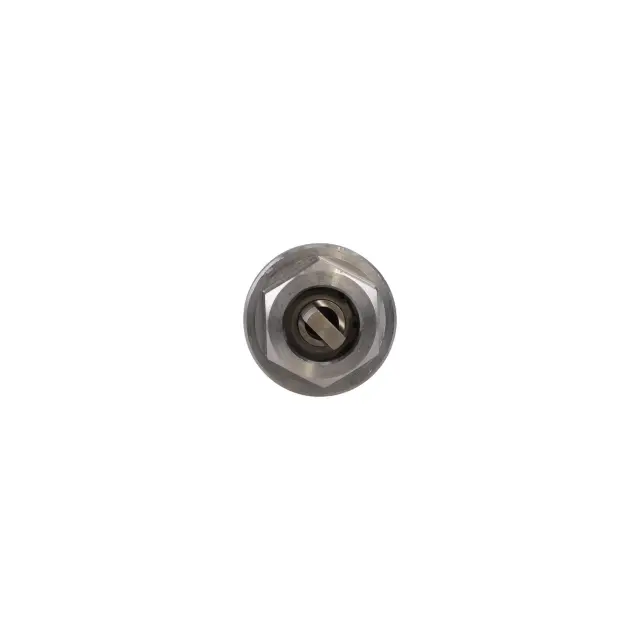 790120 - Engines &amp; Components: Engine Variable Valve Timing (VVT) Solenoid for ROSTRA Image