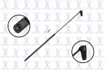 84952R - : Liftgate Lift Support for Focus Auto Parts Image