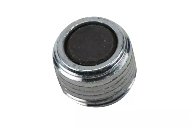 Transfer Case Oil Drain Plug - GM (19179014)