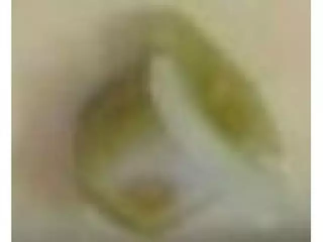 Fuel Pocket Nut - Ford (W710850-S300)