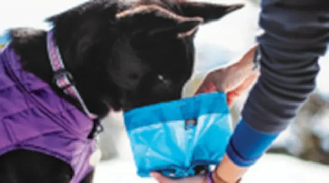 PTN598923N - Interior: Kurgo Zippy Bowl - Coastal Blue for Lexus: ES250, ES300h, ES350, GX550, IS300, IS350, IS500, LC500, LC500h, LS500, LS500h, LX600, LX700h, NX250, NX350, NX350h, NX450h+, RC F, RC300, RC350, RX350, RX350h, RX450h+, RX500h Image