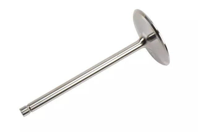 Intake Valve - GM (12591644)