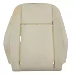 DT1Z1764810F - Body: Seat Back Pad for Ford: Transit Connect Image