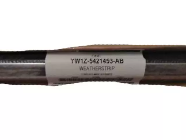 Belt Weather-Strip - Ford (YW1Z-5421453-AB)